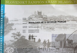 Slovenský Junior Šampion krásy